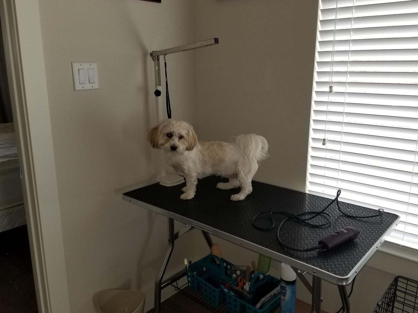 Flying Pig Large Size Super Durable Heavy Duty Dog Pet Foldable Grooming Table (44