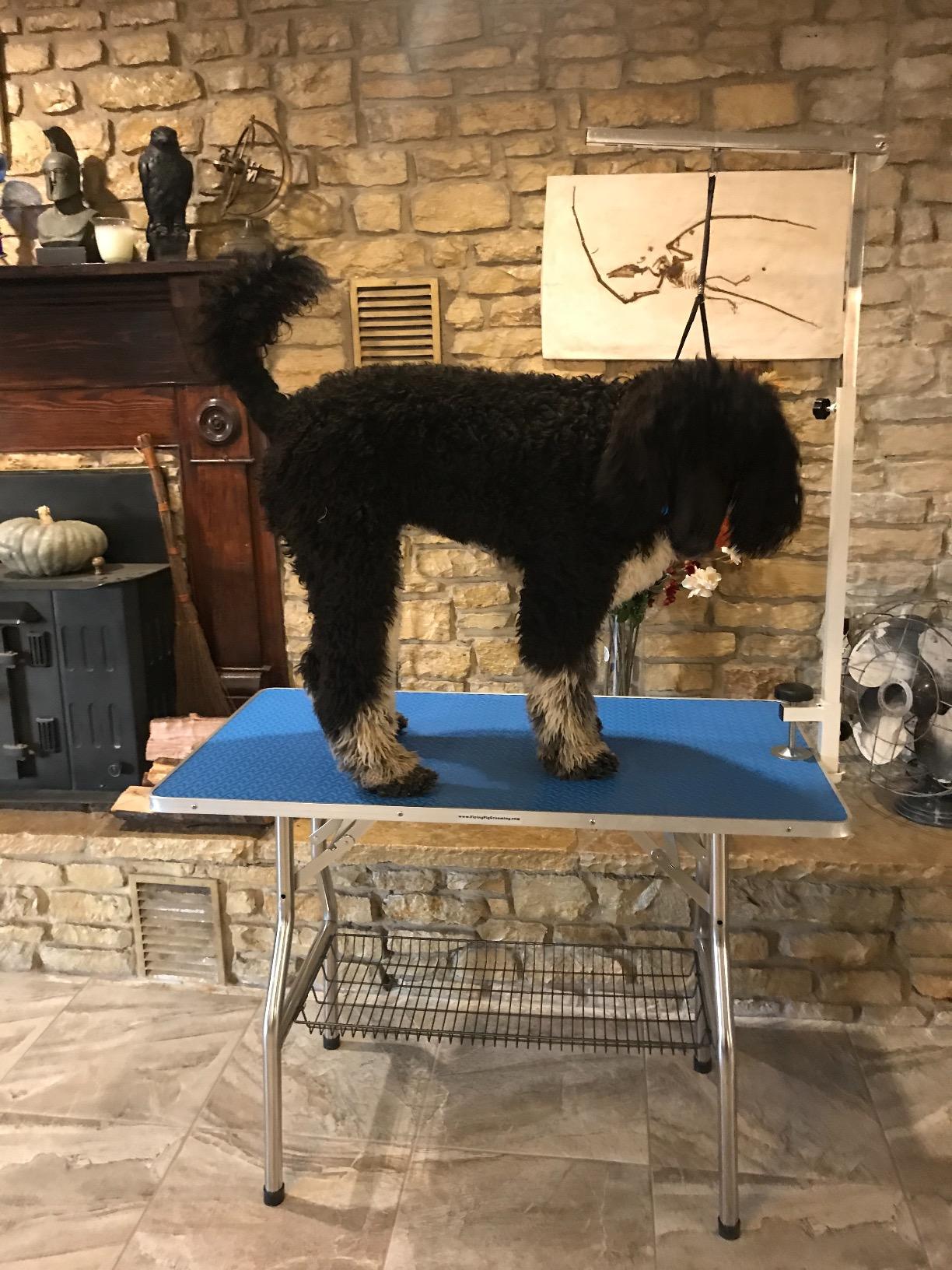 Flying Pig Large Size Super Durable Heavy Duty Dog Pet Foldable Grooming Table (44