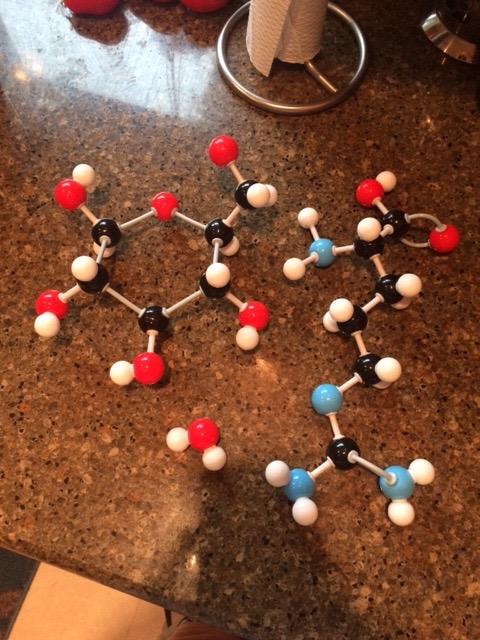 Organic Chemistry Molecular Model Student Kit - (88 Atoms and 140 Bond Parts) - MM-004 customer photo 2