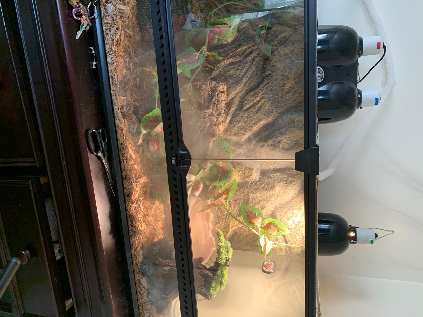 Evergreen Pet Supplies Reptile Fogger & Humidifier - Adjustable Fog Output for Mini Terrarium Fogger - 2 L Tank with Auto Shut-Off for Tortoise Humidifier - 2 L, Black/Clear customer photo 2
