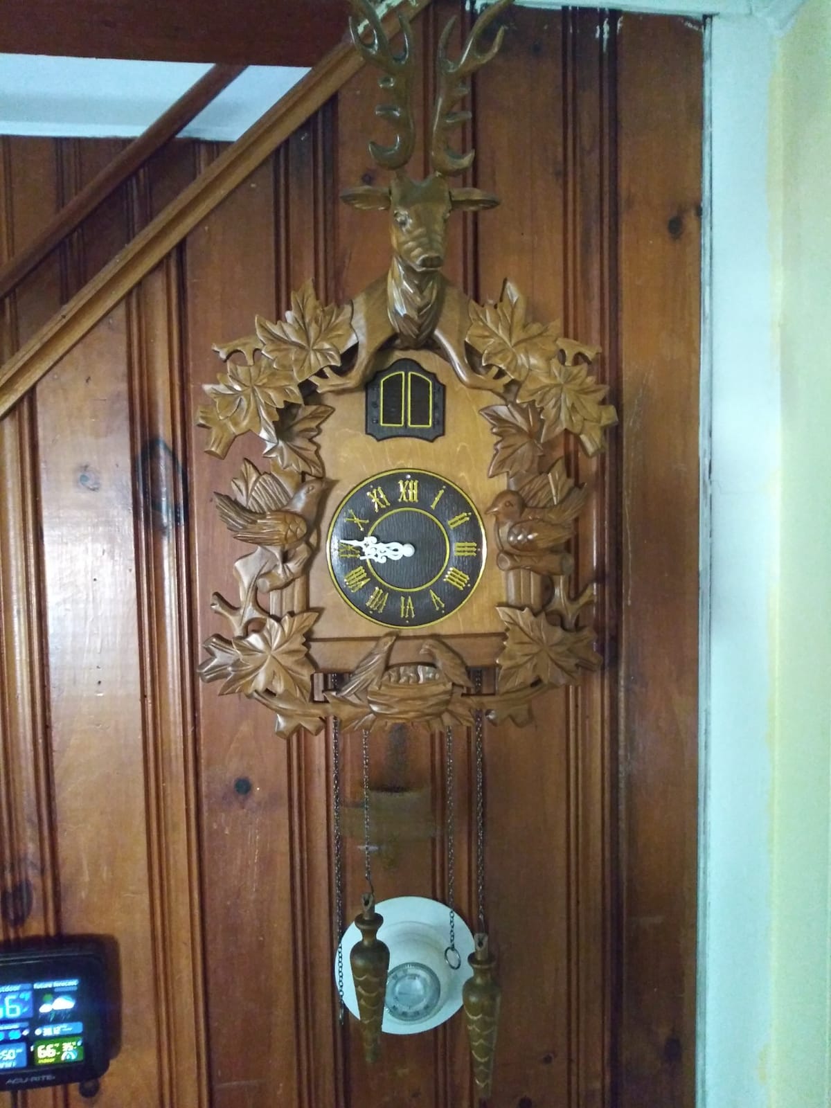 Kendal Large Handcrafted Wood Cuckoo Clock MX015-2 customer photo 1