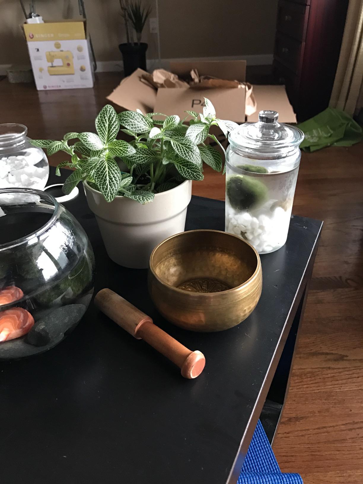Tibetan Singing Bowl Set by The Ohm Store with 'Medicine Buddha' Engraving — Meditation Sound Bowl and Wooden Striker Handcrafted in Nepal — Spiritual Gift for Women and Men customer photo 2