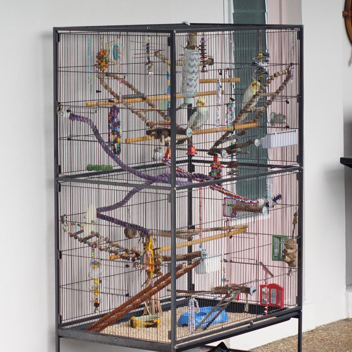 Prevue Pet Products Wrought Iron Bird Flight Cage w/Wheels- L, Chalk White customer photo 2