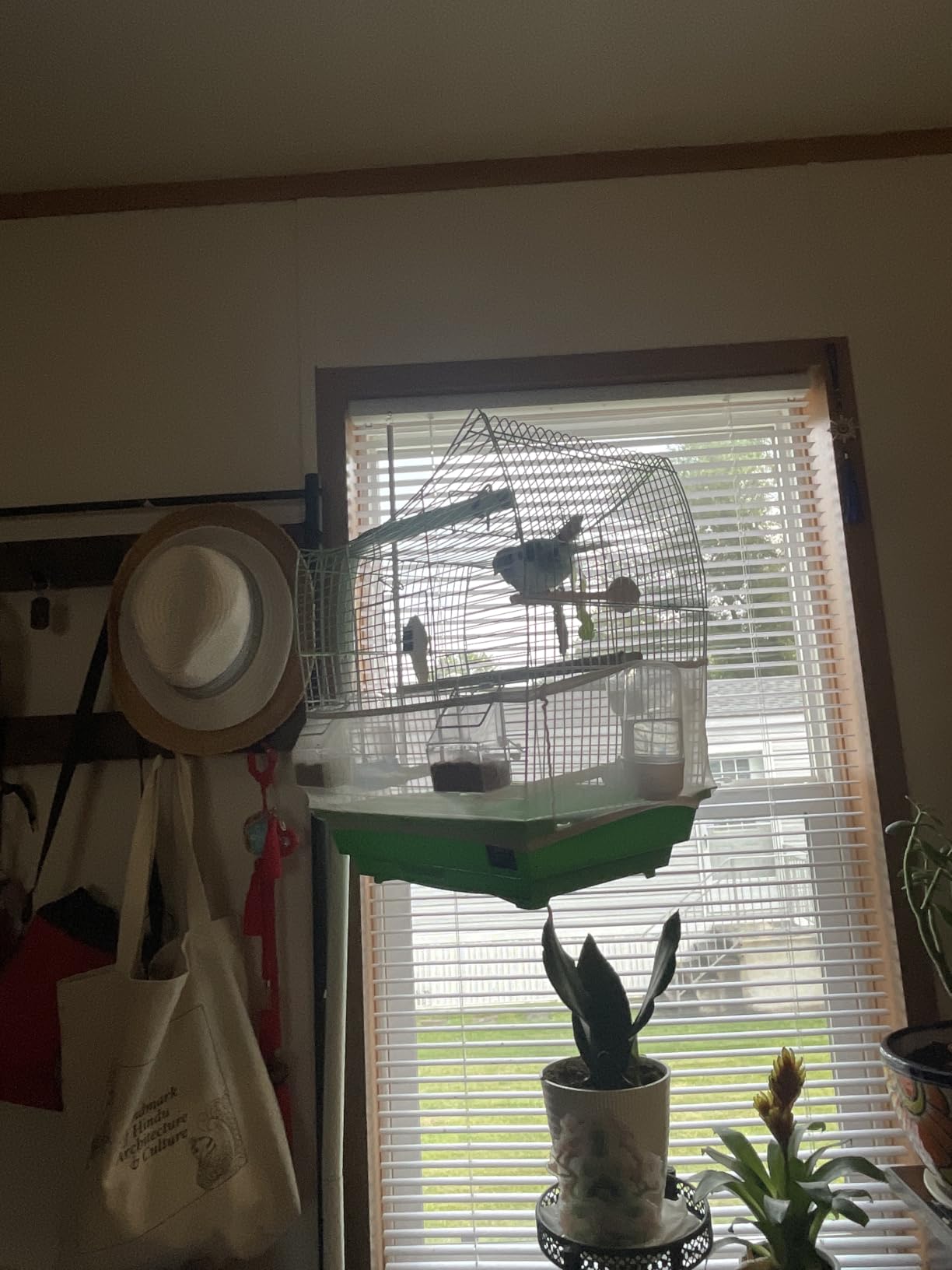 Prevue Pet Products South Beach Dome Top Bird Cage - White & Teal customer photo 2