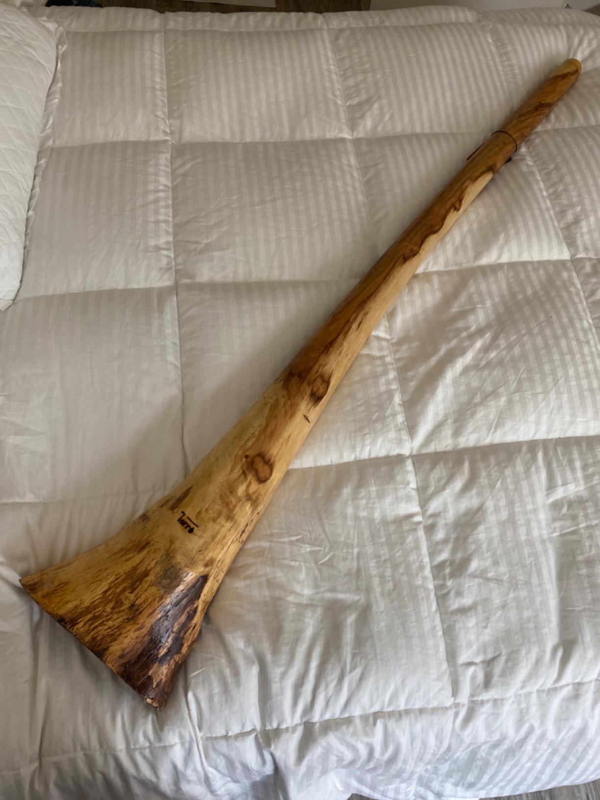 Handmade Didgeridoo Eucalyptus (Root) customer photo 2