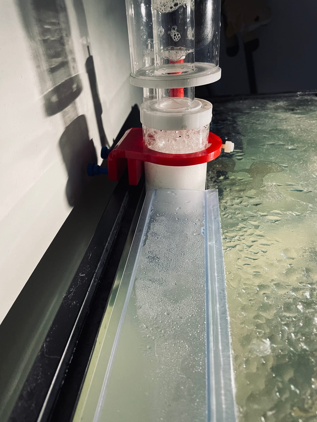 RDC 150 Hang On Protein Skimmer for Saltwater Aquarium, Internal Needle Wheel Skimmer 7.8W Red Devil SP1 Pump, Quiet Filtration System for Marine Reef Coral Tank up to 40 Gallon customer photo 2
