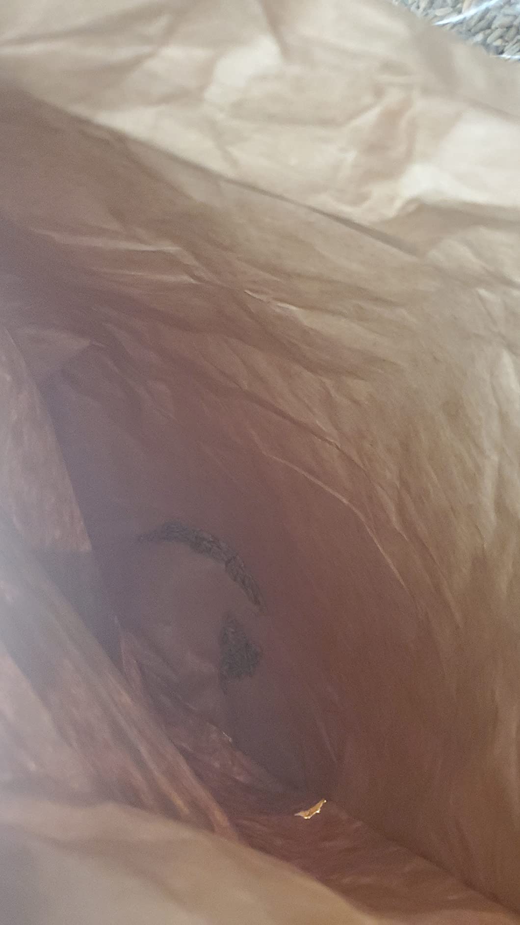Briess Rye Malt, 5 Lb customer photo 2