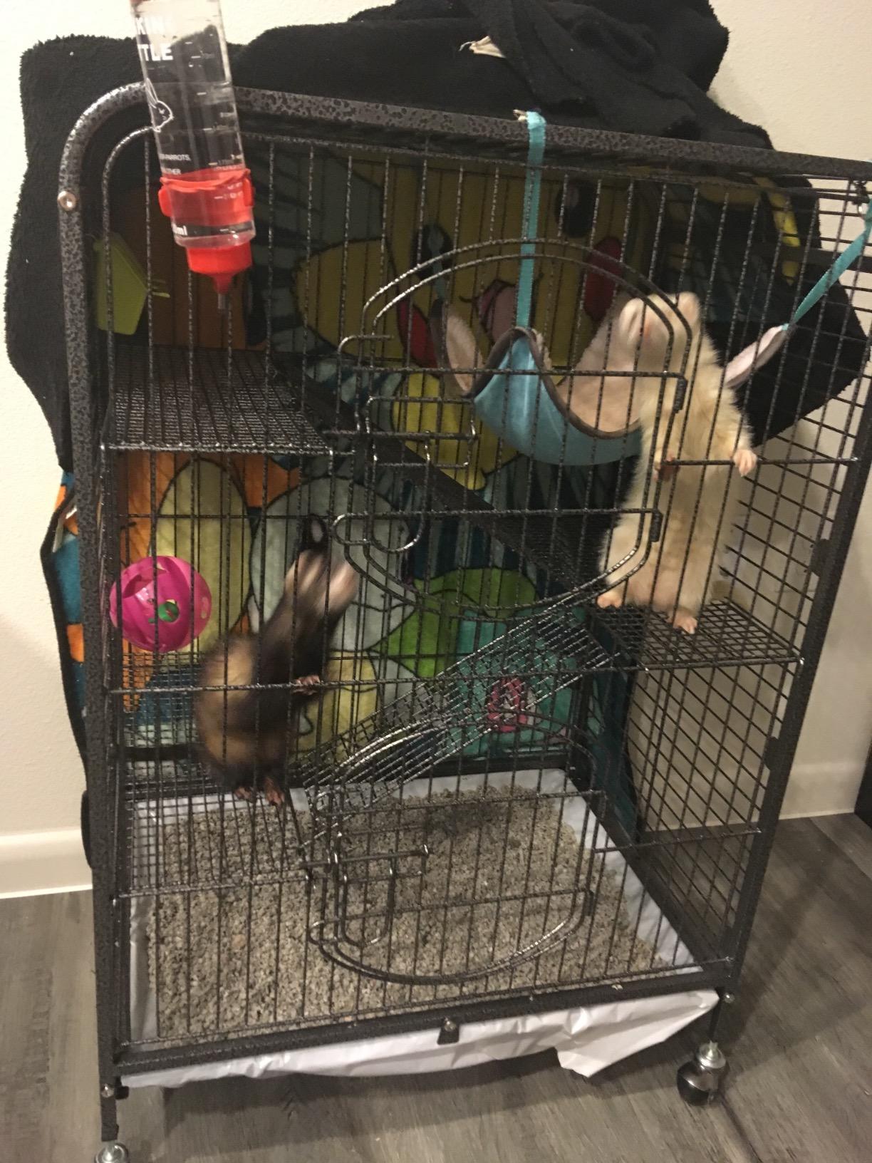 Yaheetech 52-inch Ferret Cage 6 Level Metal Rat Cage with 3 Front Doors/Feeder/Wheels Small Animal Cage for Ferret/Chinchilla/Bunny/Rabbit/Squirrel, Black customer photo 1