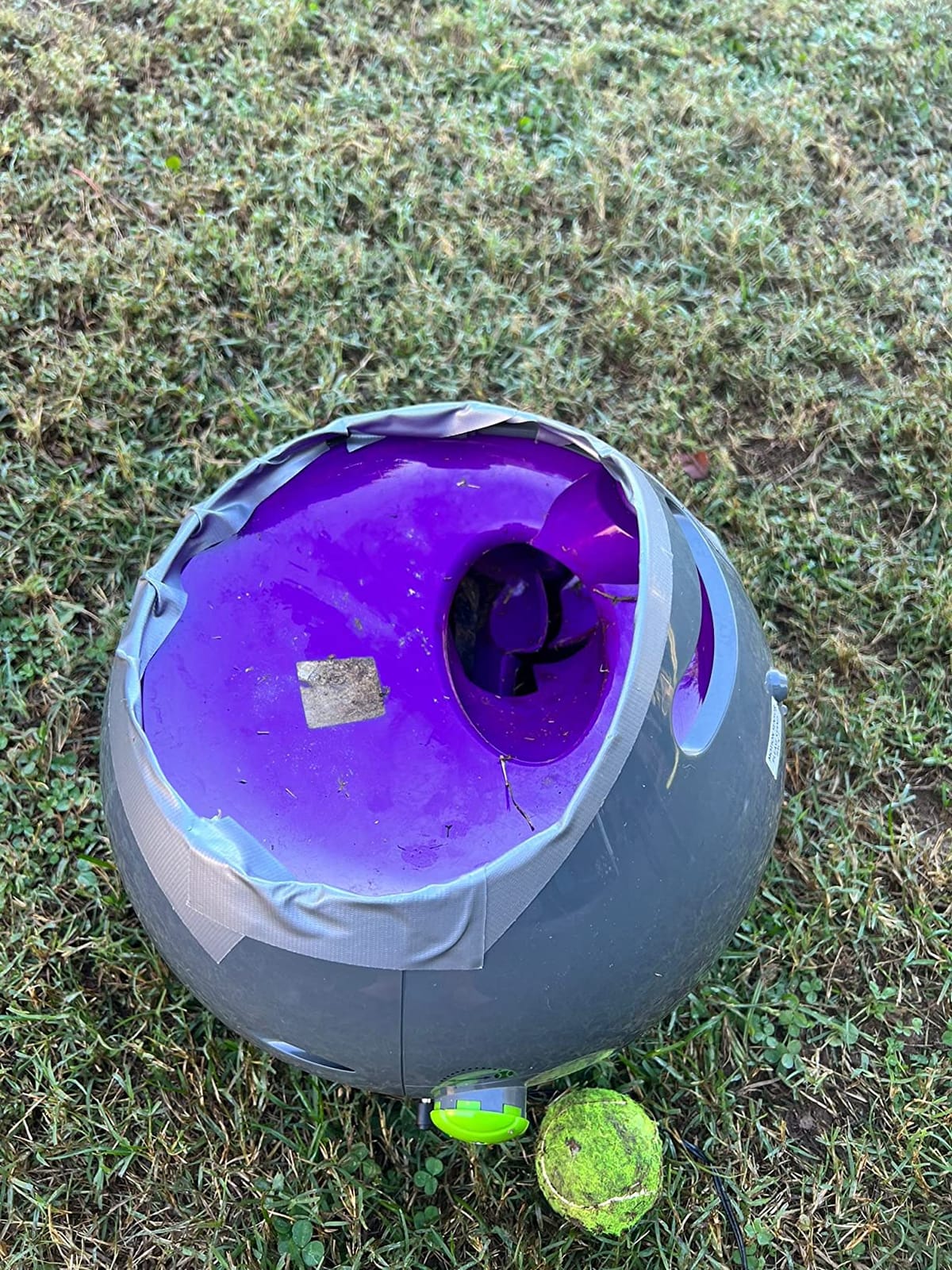 PetSafe Automatic Dog Ball Launcher customer photo 2