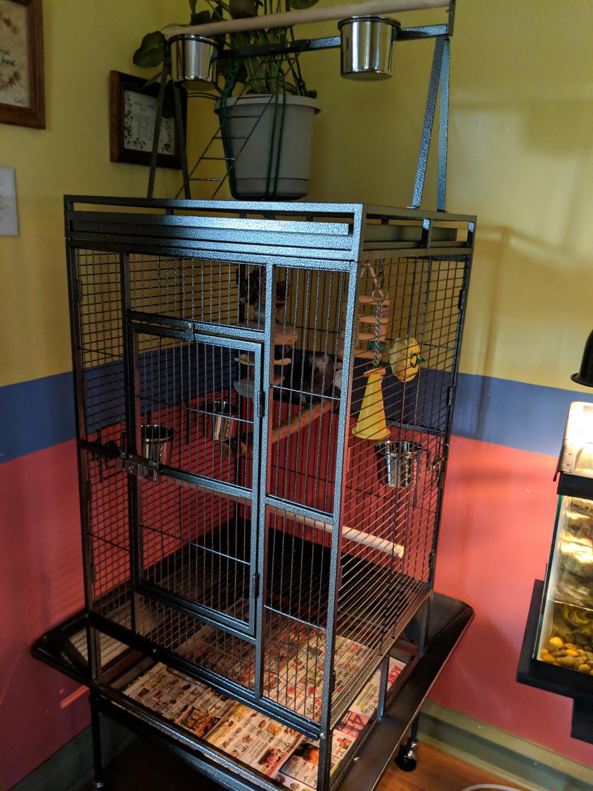 Nova Microdermabrasion 61 Inches Large Bird Cage Play Top Parrot Cockatiel Parakeet Chinchilla Macaw Cockatoo Cage W/Stand Perch Pet Supplies customer photo 1