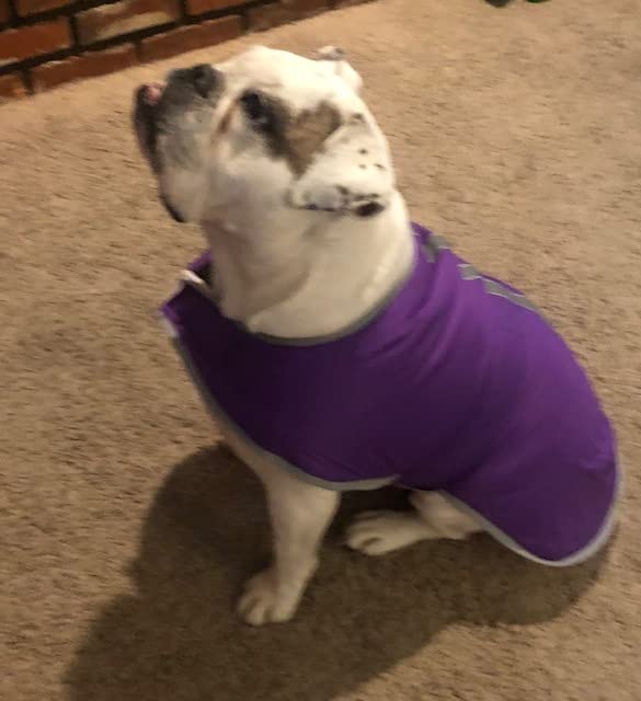 Queenmore Cold Weather Dog Coats Loft Reversible Winter Fleece Dog Vest Waterproof Pet Jacket Available in Extra Small, Small, Medium, Large Extra Large Sizes customer photo 2