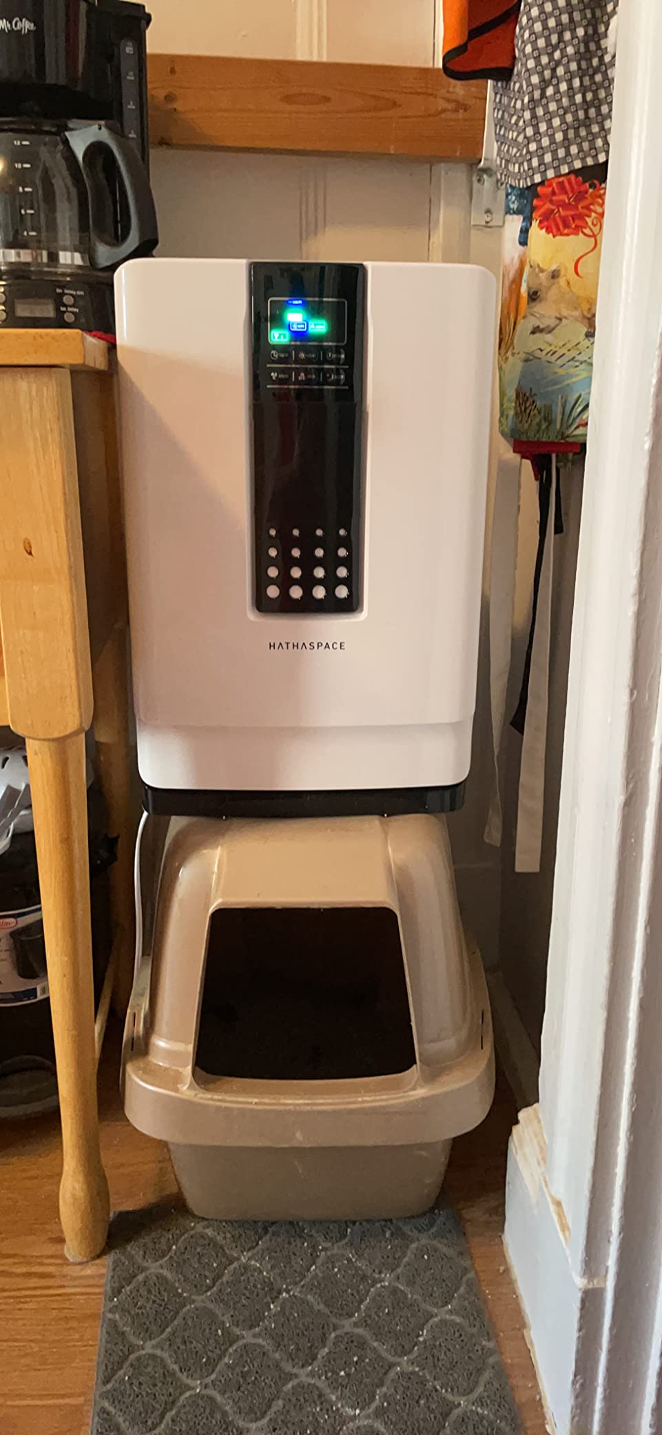 HATHASPACE HSP001 True HEPA Air Purifier customer photo 1