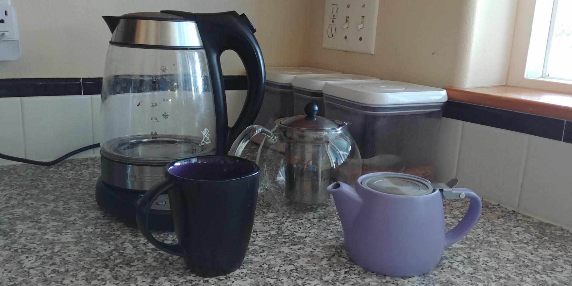 Tealyra - Pluto Porcelain Small Teapot Turquoise - 18.2-ounce (1-2 cups) - Matte Finish - Stainless Steel Lid and Extra-Fine Infuser To Brew Loose Leaf Tea - 540ml customer photo 1