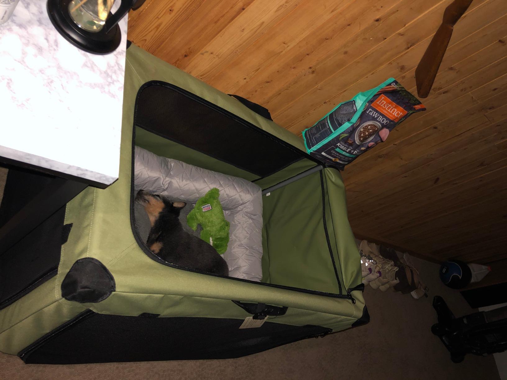 PETSFIT 36