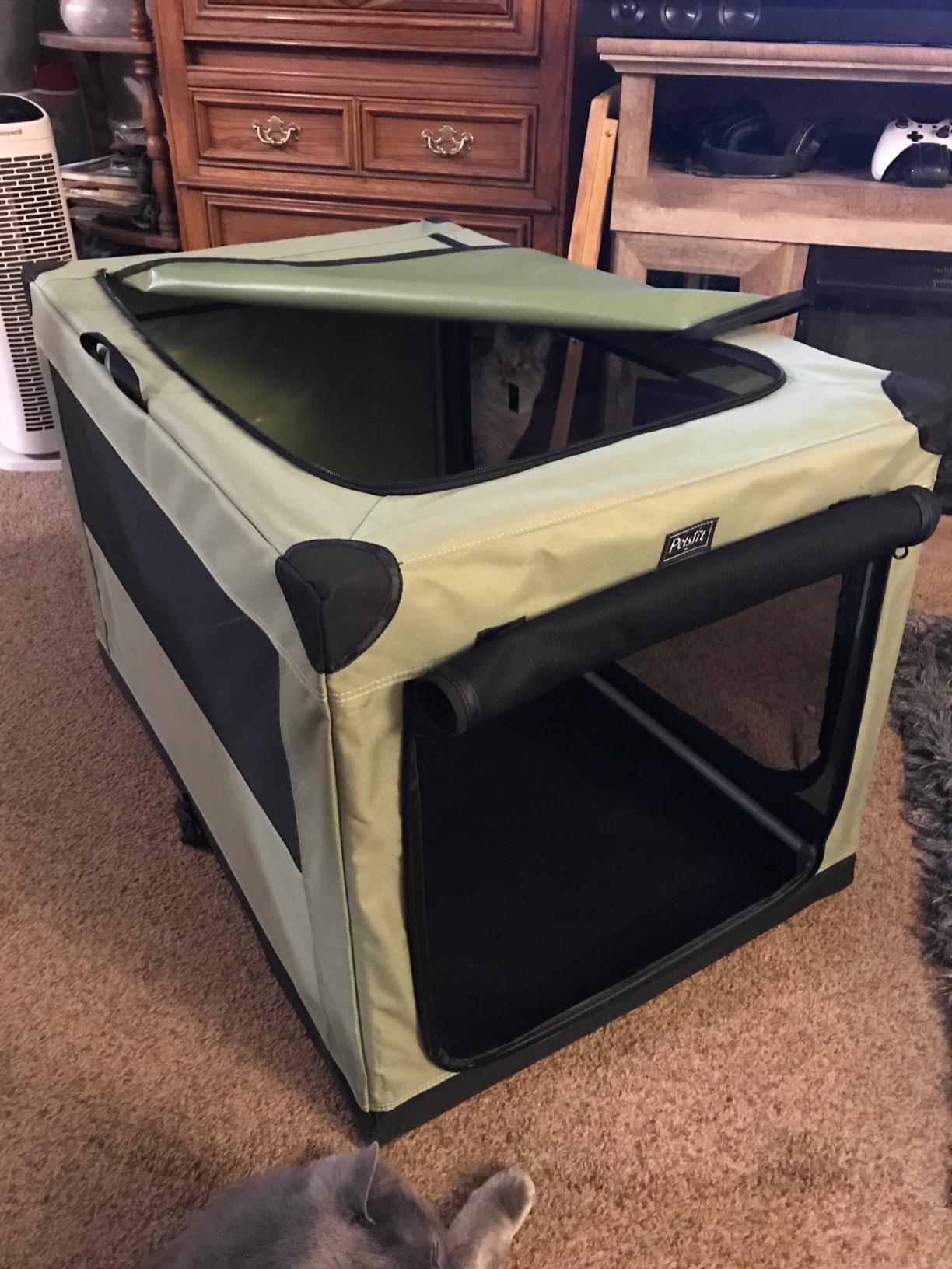 PETSFIT 36