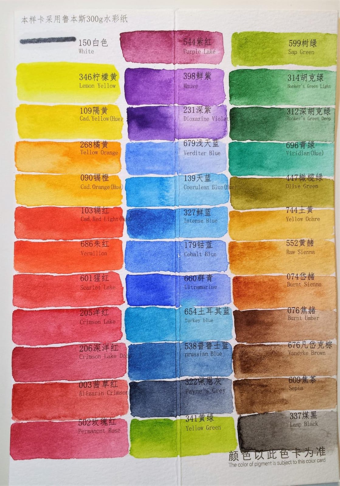 MeiLiang Watercolor Paint Set, 36 Vivid Colors in Pocket Box with Metal Ring and Watercolor Brush, Perfect for Students, Beginners and More customer photo 1