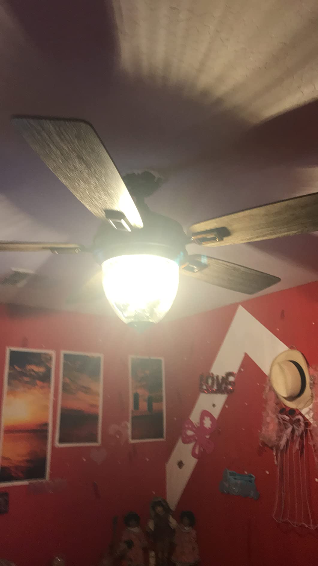 Honeywell Ceiling Fans Glencrest 52 Inch Indoor Outdoor LED Ceiling Fan with Light, Pull Chain, Dual Mounting Options, ETL Damp Rated, Dual Finish Blades, Reversible Motor - 50615-01 customer photo 1