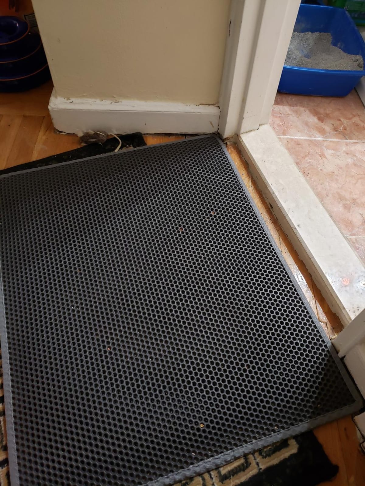 Cat Litter Mat, 30