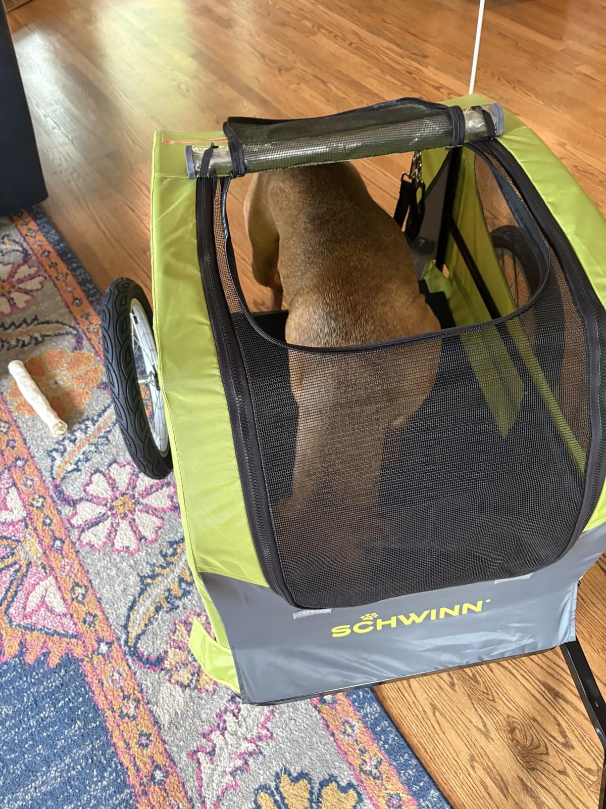 Schwinn Rascal Plus Pet Trailer, Holds Pets Up To 100 lb, Universal Coupler, Folding Frame customer photo 2