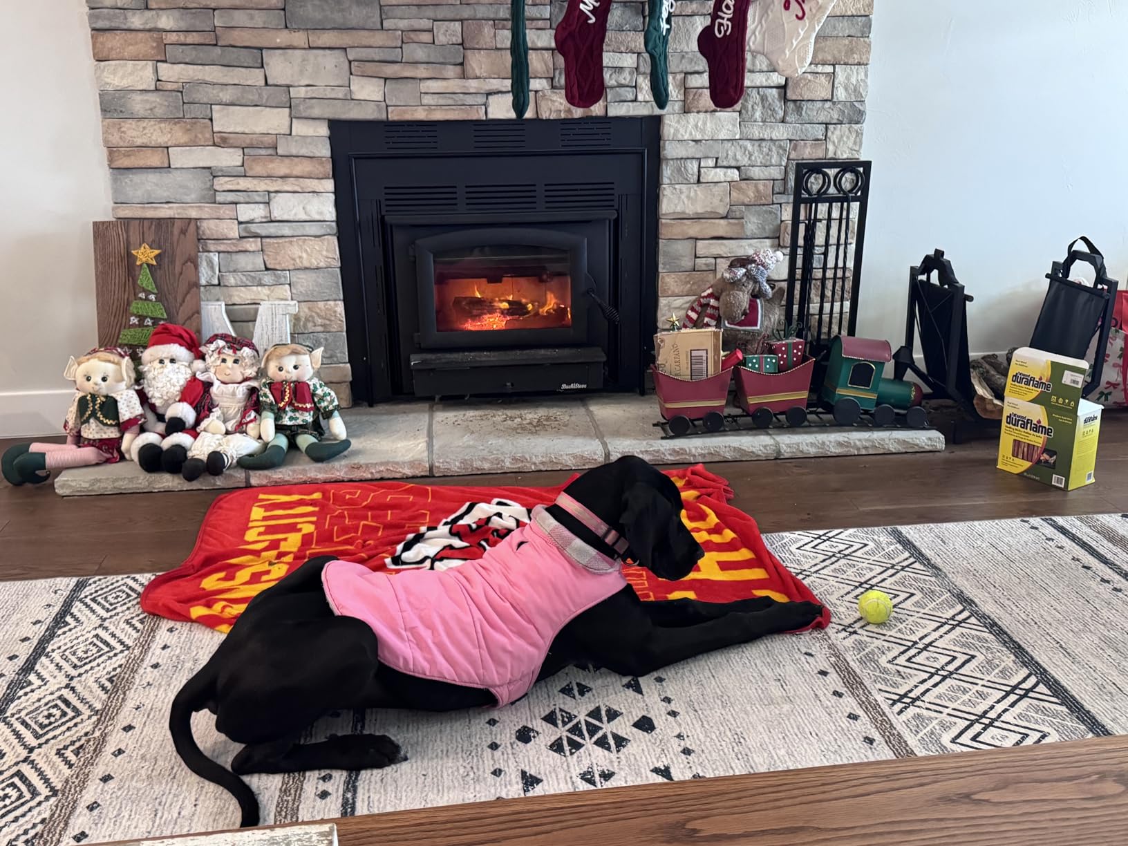 ASENKU Reversible Dog Winter Coat, Dog Jacket for Small Medium Large Dogs customer photo 1