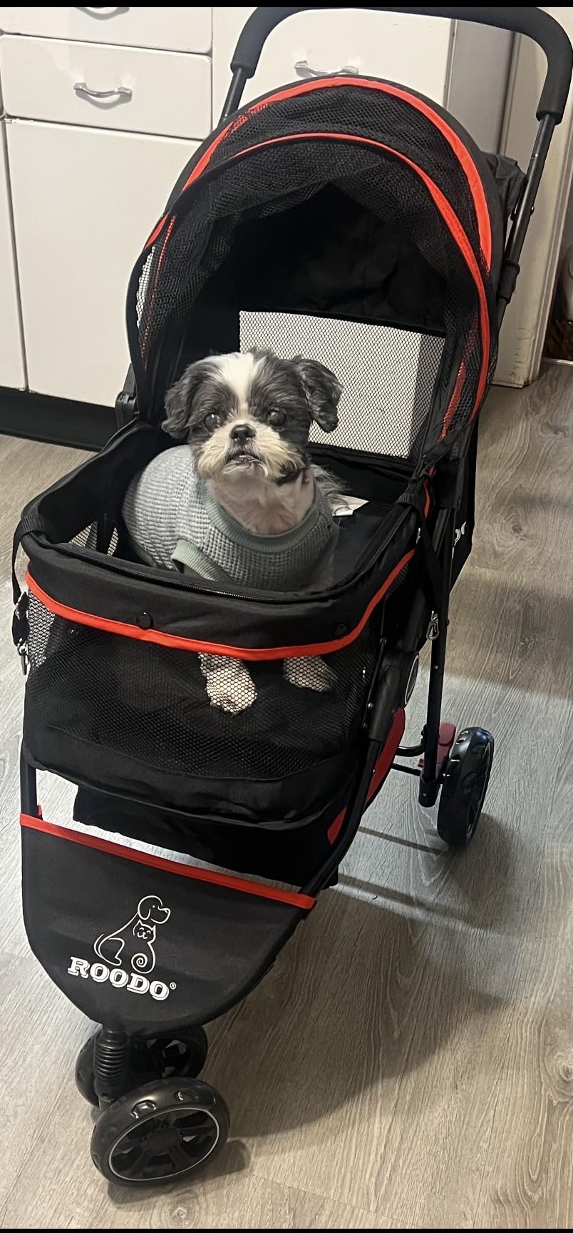 ROODO Escort 3 Wheel Dog Cat Pet Stroller for Small/Medium Dogs Cats Best Lightweight Foldable Portable Compact Jogger Travel All Terrain Pet Gear System Puppy Doggie Bunny Kitty Stroller(Black) customer photo 1