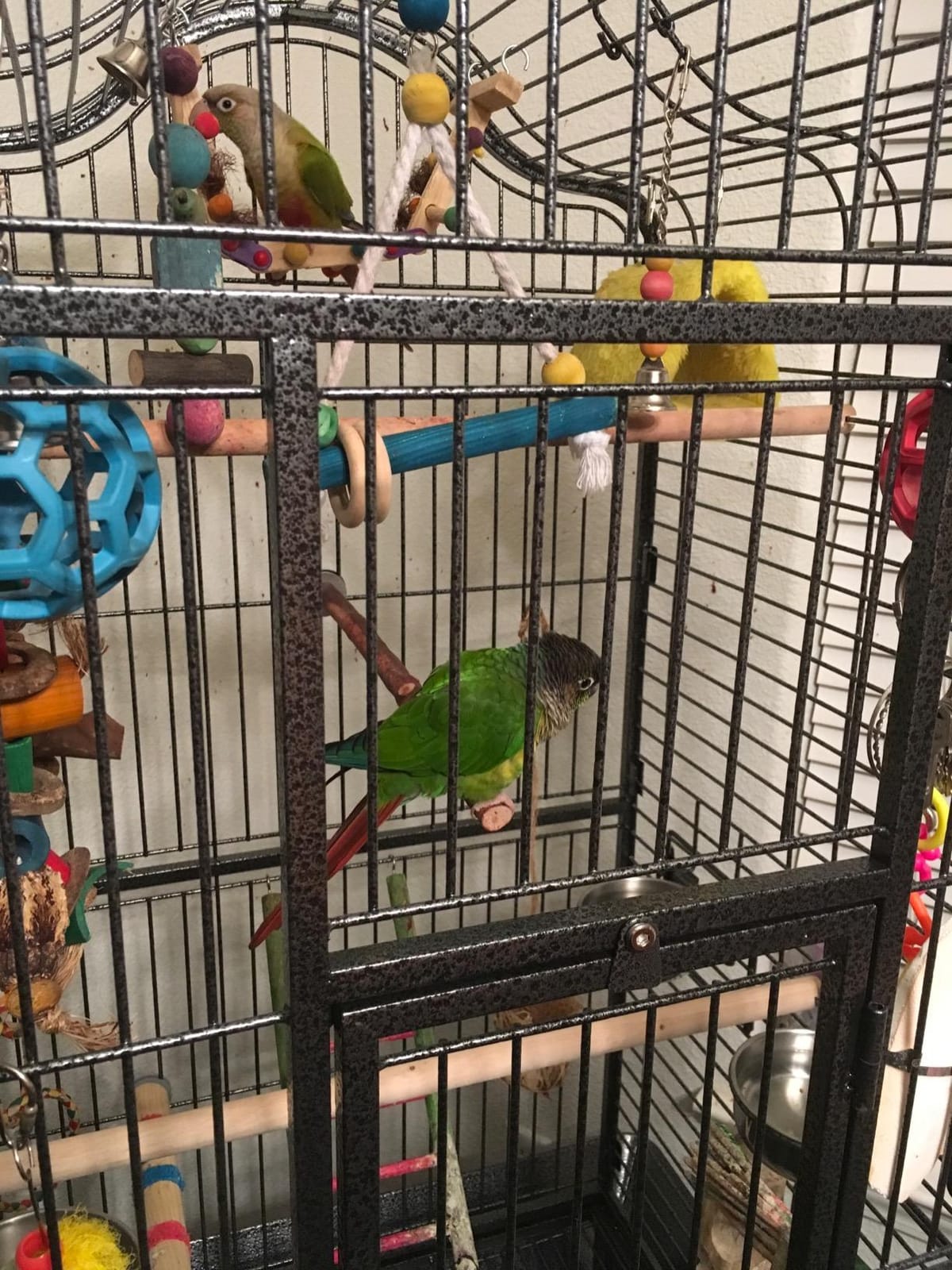 Yaheetech 63'' Bird Cage with Stand Wrought Iron Rolling Open Play Top Large Bird Cage for Mini Macaw African Grey Amazon Parrot customer photo 1