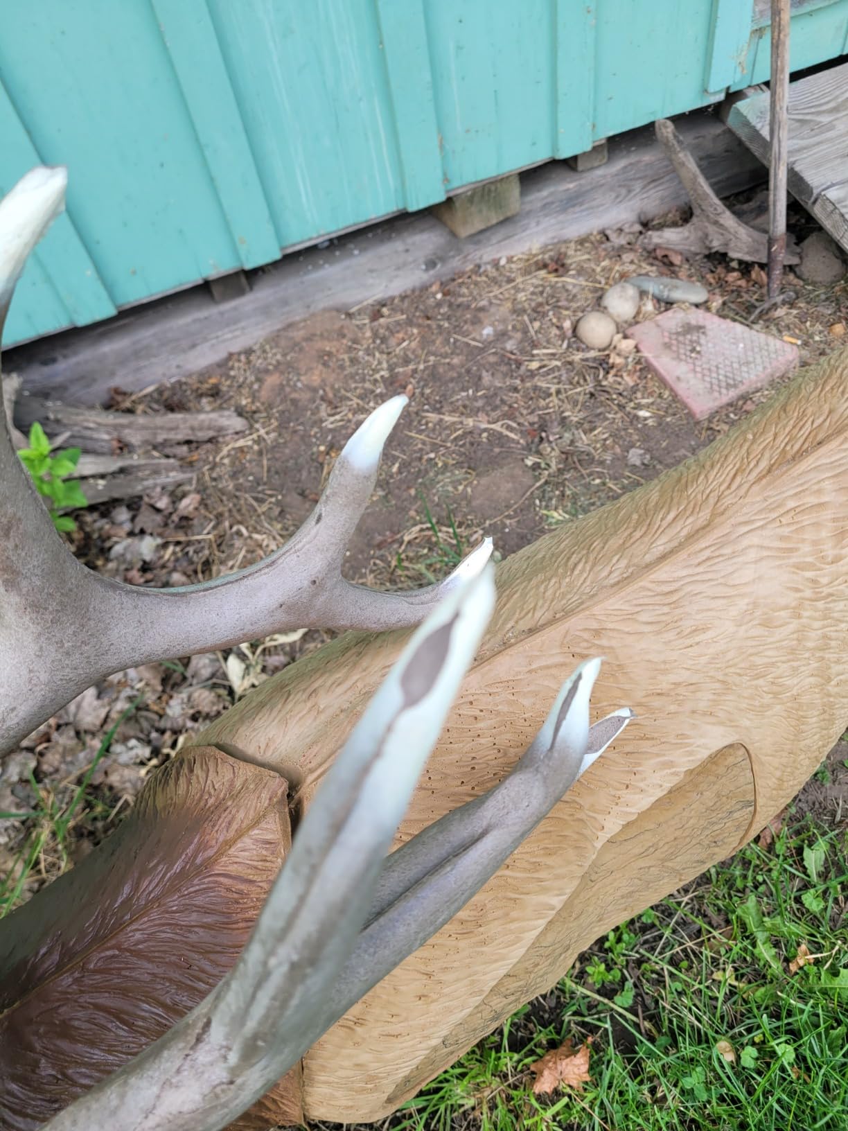 Rinehart 1/3 Scale Woodland Elk Target customer photo 1