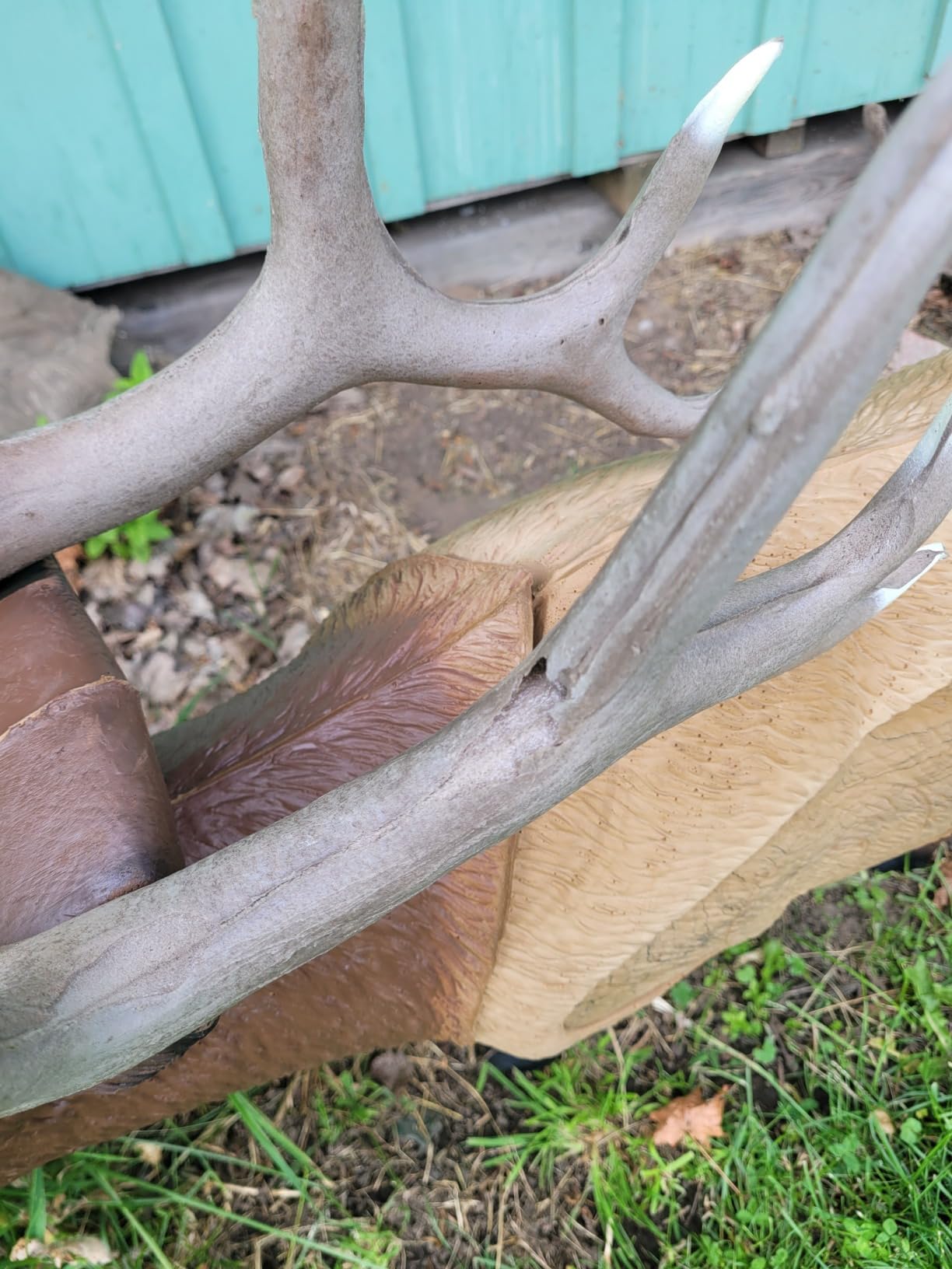 Rinehart 1/3 Scale Woodland Elk Target customer photo 2