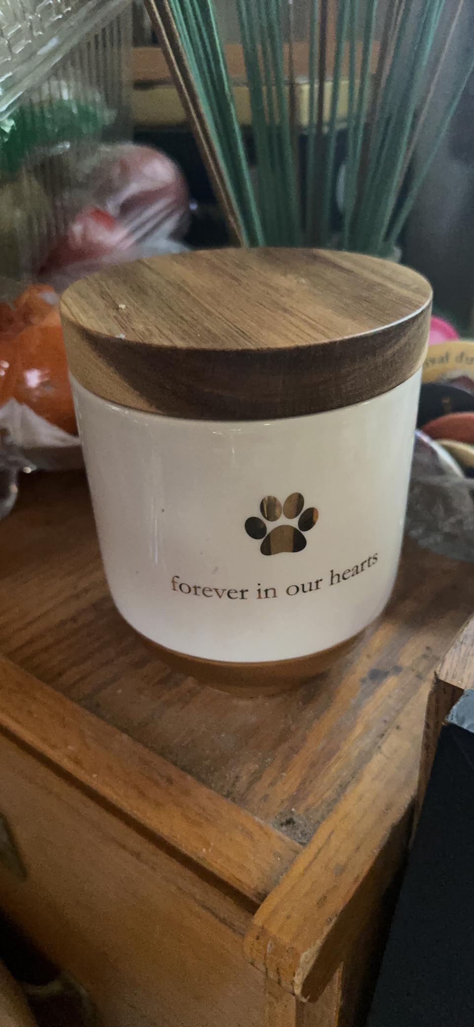 Pearhead Pet Ceramic Forever in Our Hearts Urn, Pet Memorial, Gold customer photo 1