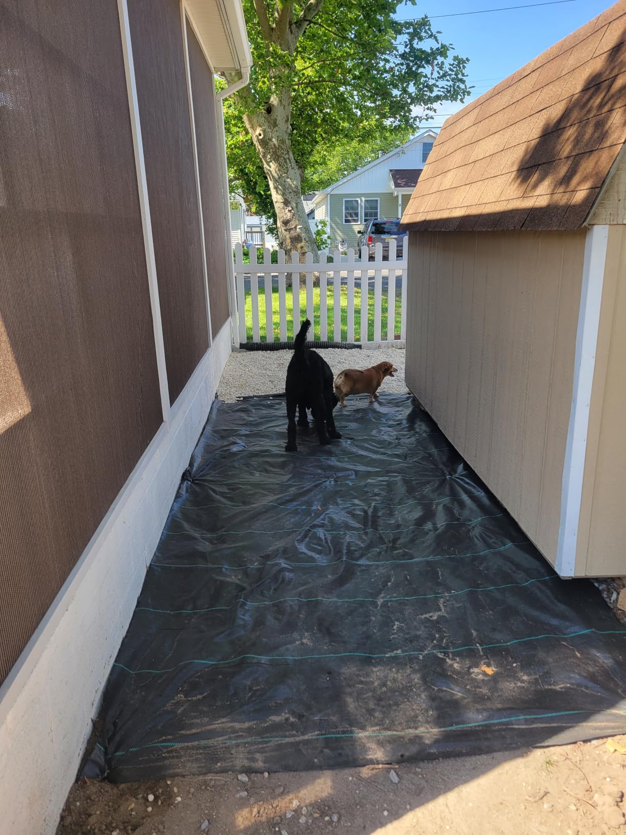 Happybuy 6x300ft Premium Weed Barrier Landscape Fabric Heavy Duty 2.4OZ, Woven Weed Control Fabric, High Permeability Good for Flower Bed, Geotextile Fabric Underlayment, Driveway Fabric Ground Cover customer photo 2