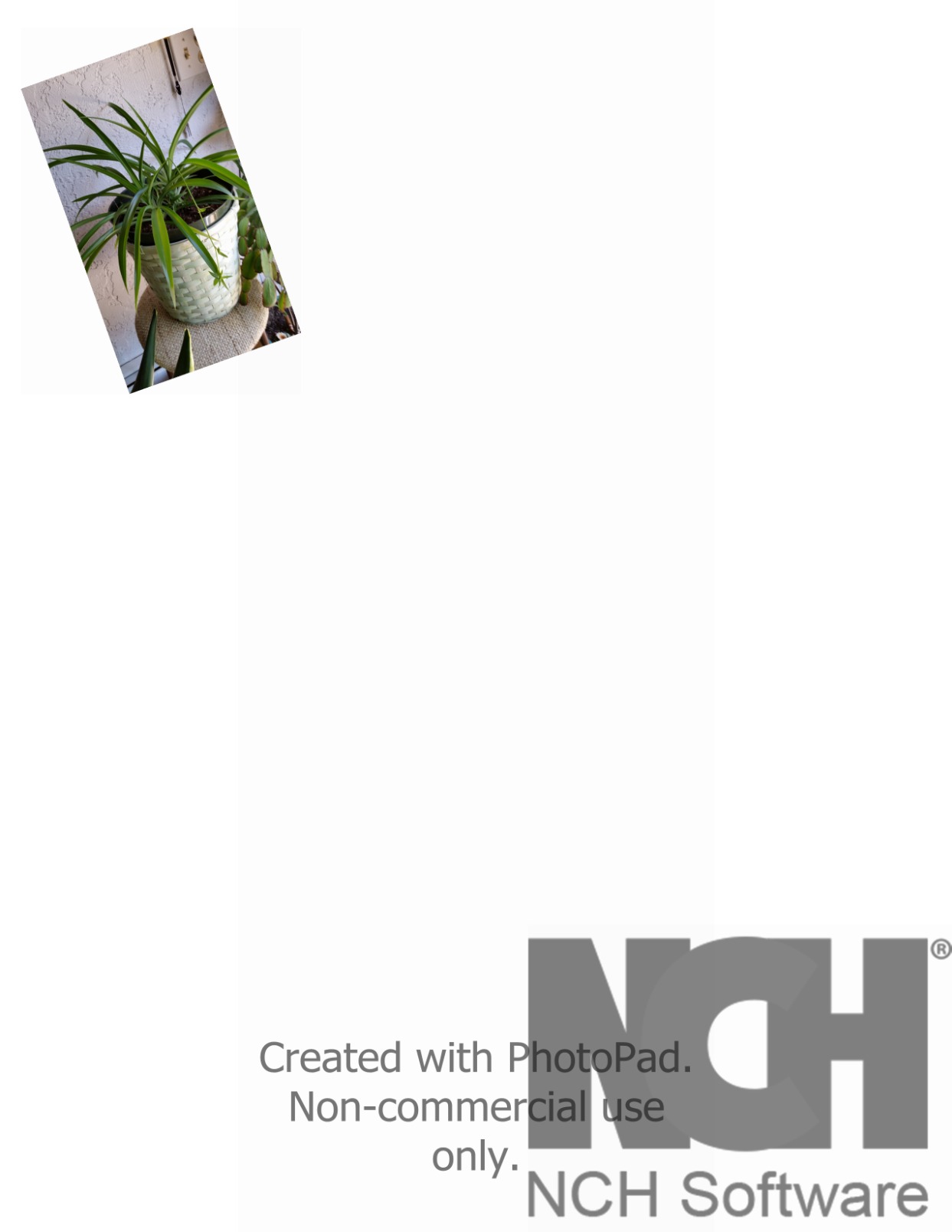 PhotoPad Photo Editing and Image Editor Free [PC Download] customer photo 2