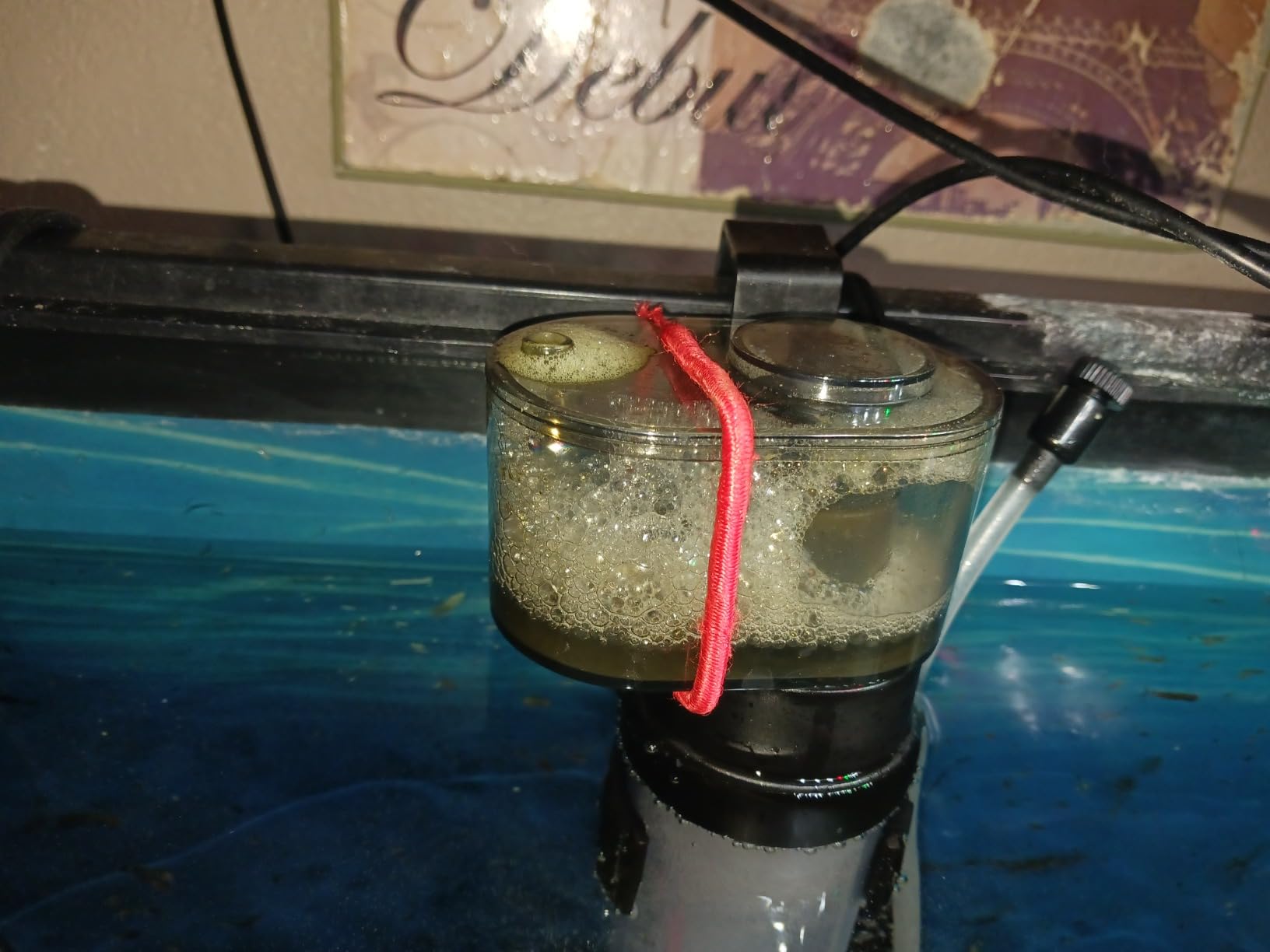 Coralife Biocube Protein Skimmer, Aquarium Skimmer customer photo 2
