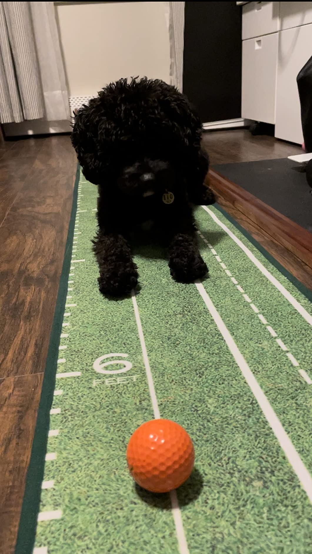 Perfect Practice Standard 9' Putting Mat - Indoor Putting Green | Golf Gifts for Men and Golf Training Aid, 2-Hole Crystal Velvet Golf Mat, Automatic Ball Return, True-Roll Alignment customer photo 2