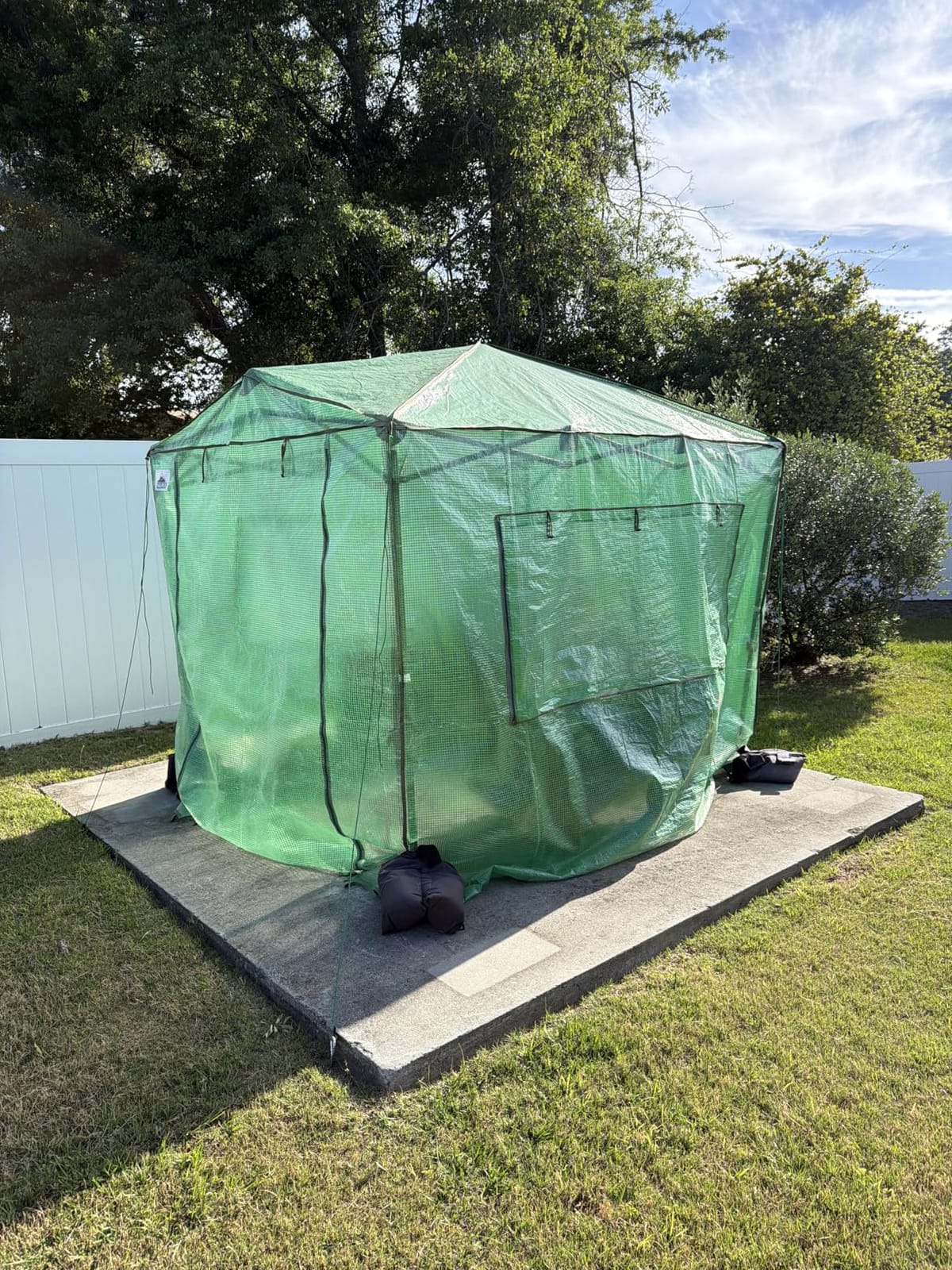 EAGLE PEAK 8x6 Easy Setup Pop Up Greenhouse, Clear/Green | Walk-In Greenhouses for Outdoors, Green House for Winter Protection, Roll-Up Doors & Mesh Windows, One Person Setup customer photo 1