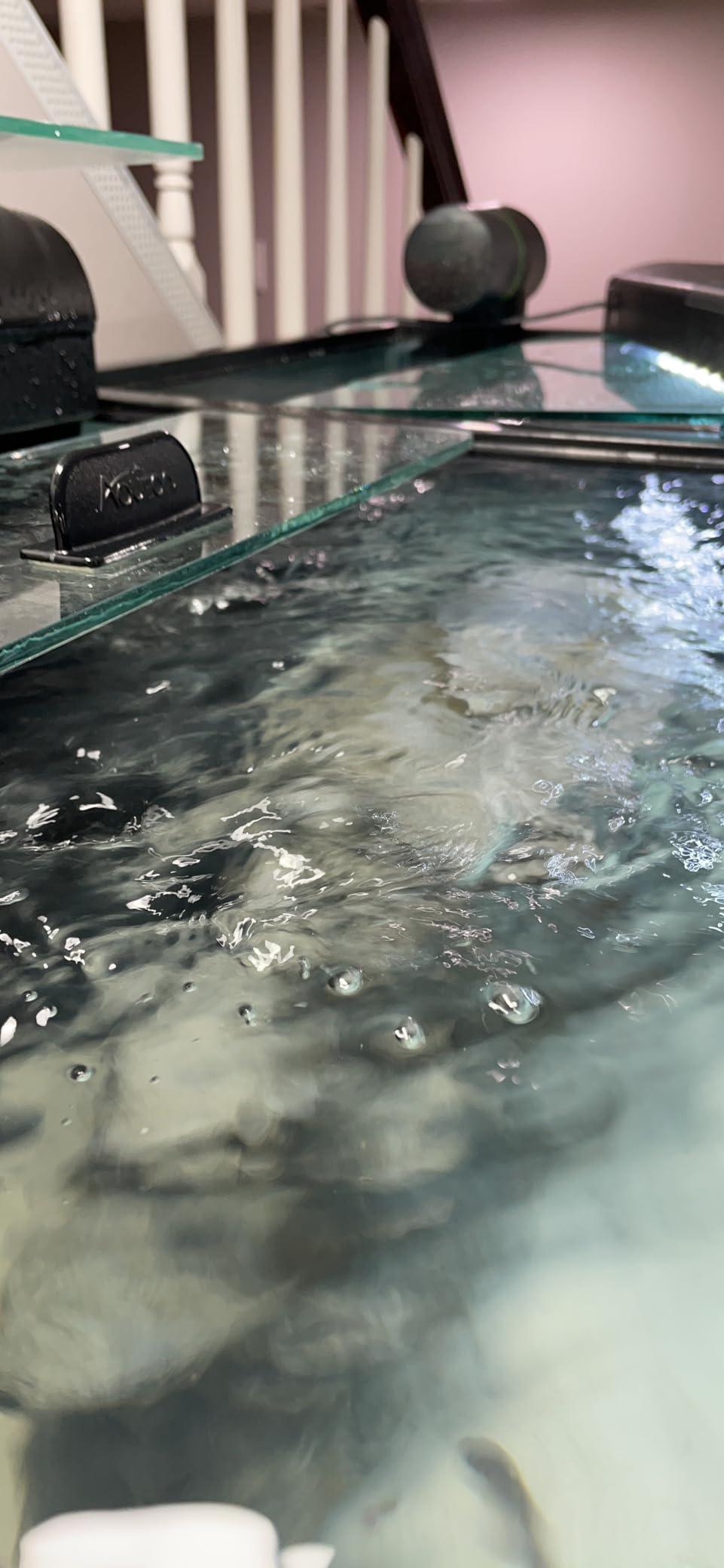 FREESEA Magnetic Wave Maker for Aquarium: 1s Mounts on 15mm Glass Secure customer photo 1