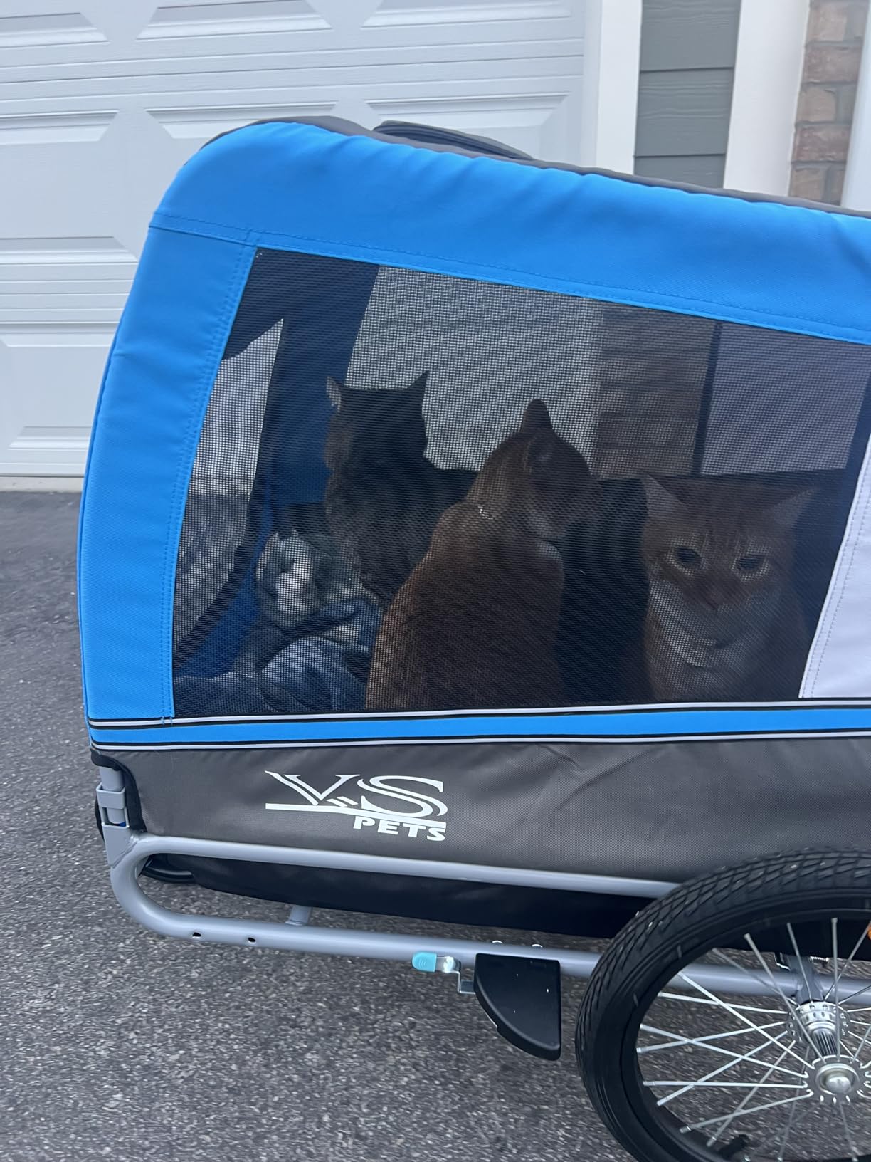 Tiggo Veelar Sports Pets Large Dog Bike Trailer & Stroller for Medium,Large Dog or Multiple Small Dogs, Pet Stroller for Dogs Up to 78 lbs, Parking Brakes, Low Center of Gravity customer photo 2