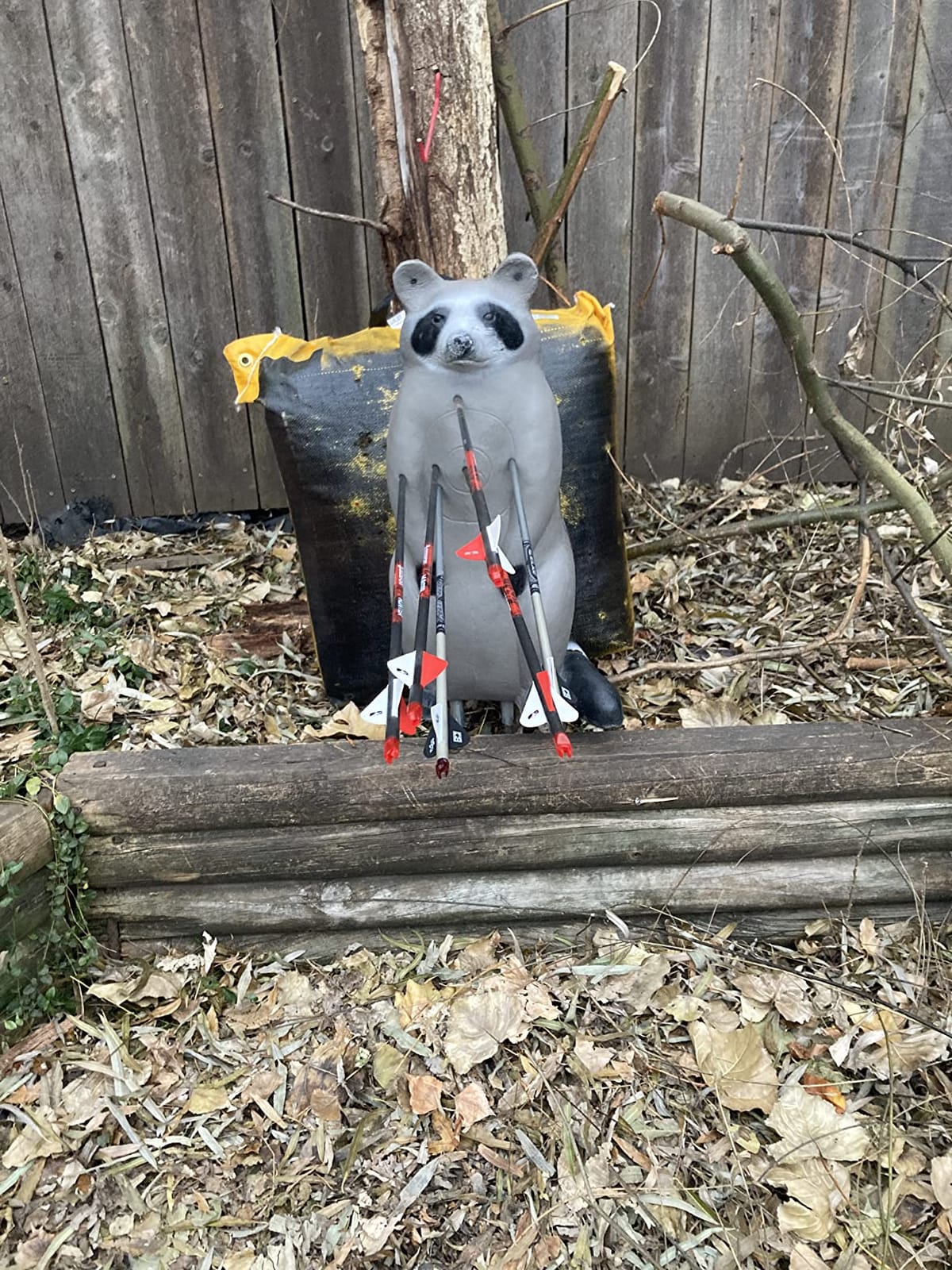 BIGSHOT Real Wild Raccoon 3D Archery Target – Life-Size EZ-Pull Self-Healing Foam, IBO Scoring Rings, Field-Point & Broadhead-Ready Small-Game Practice for Compound & Crossbows customer photo 2