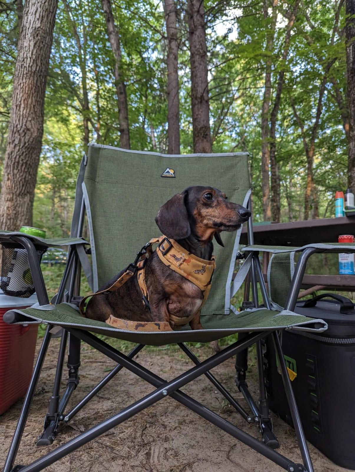 GCI Outdoor Kickback Rocker Camping Chair | Portable Folding Rocking Chair with Durable Armrests, Drink Holder & Relaxed Lowered Seat for Comfort — Loden Green customer photo 2