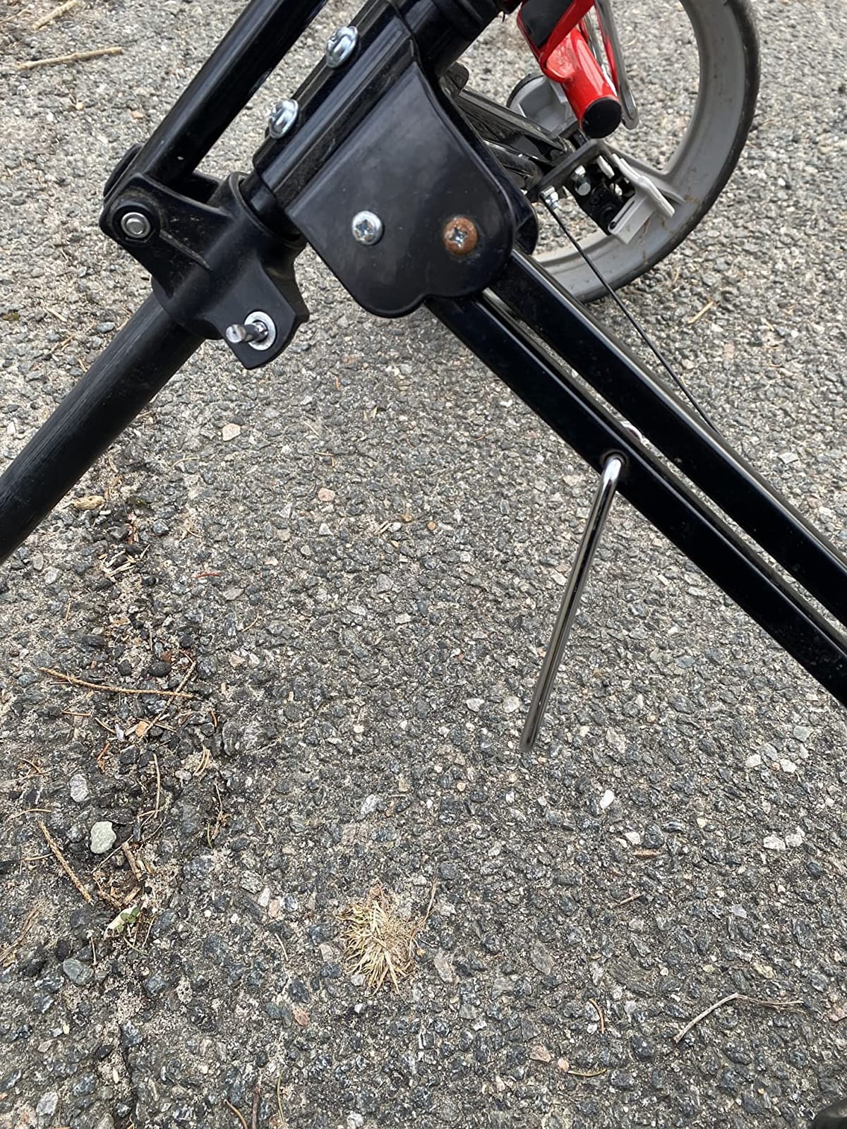 Rover II Push Cart customer photo 2