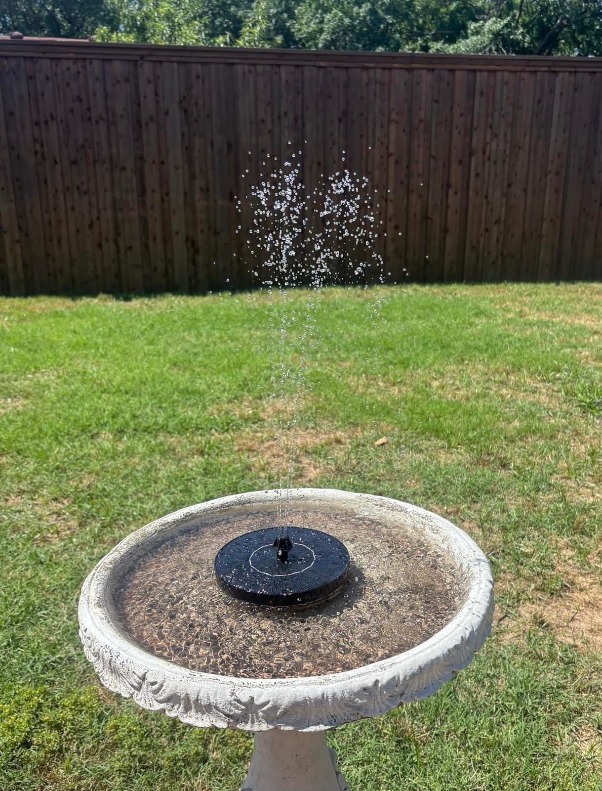 Mademax Solar Bird Bath Fountains, Upgrade 1.4W Solar Fountain Pump with 8 Nozzles & 4 Brackets, Free Standing Floating Solar Powered Water Fountain Pump for Bird Bath, Garden, Pond, Pool, Outdoor customer photo 1