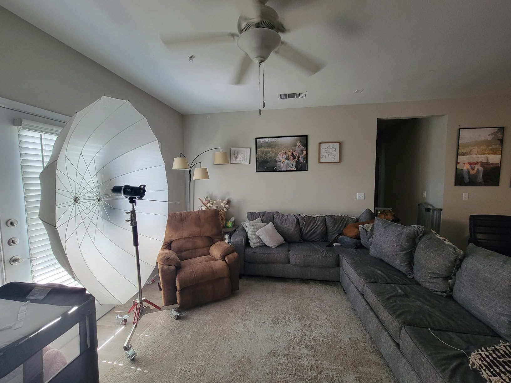 NEEWER Heavy Duty Light Stand with Casters, 100% Stainless Steel Tripod customer photo 2