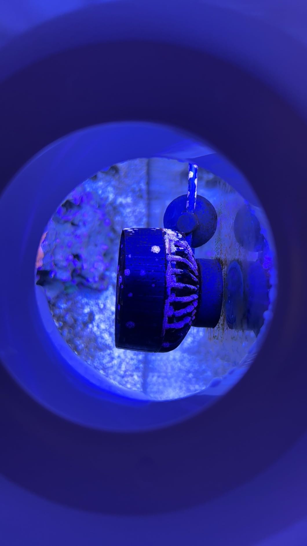 Jebao SLW-10 Aquarium Wavemaker, 1,065 GPH customer photo 1