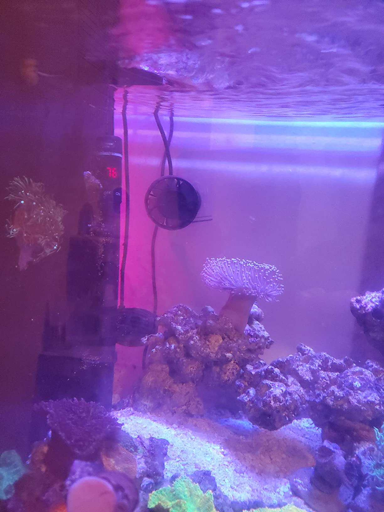 Jebao SLW-10 Aquarium Wavemaker, 1,065 GPH customer photo 2