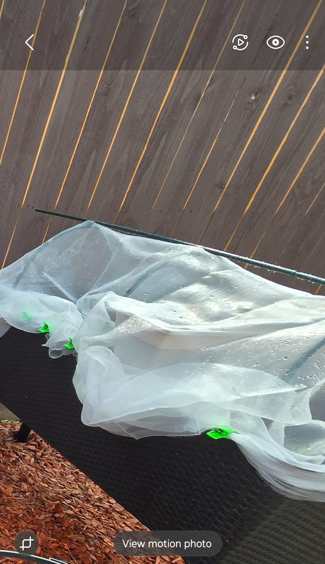 Garden Netting Pest Barrier: 4'x10' Fine Bug Netting | for Protection Row Cover Raised Bed Screen Mesh Greenhouse Mosquito Net, Protecting Tree Plants Vegetable Flowers Fruits customer photo 1