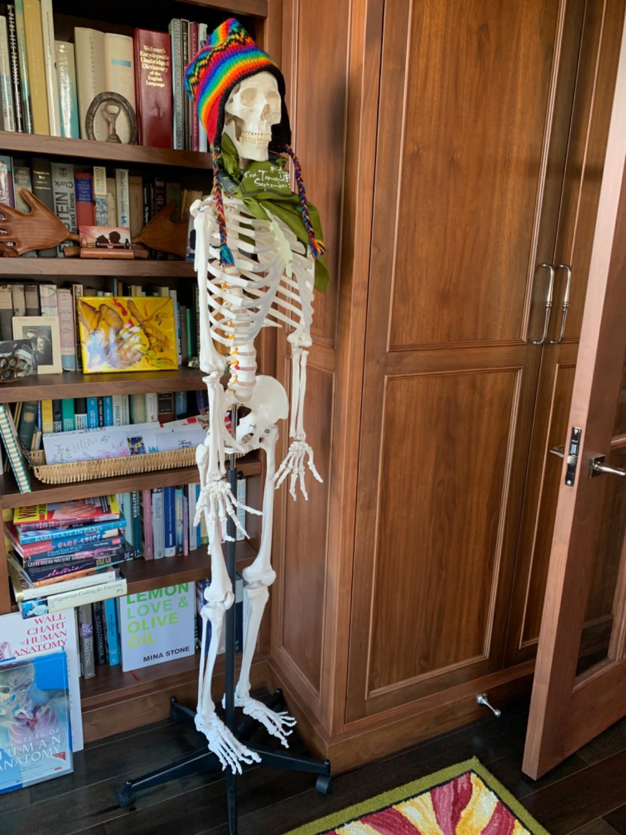 breesky Human Skeleton Model for Anatomy- Life Size Medical Human Skeleton Model with Nervous System 70.8 in with Rolling Stand for Medical Study and Display 3 Posters customer photo 2