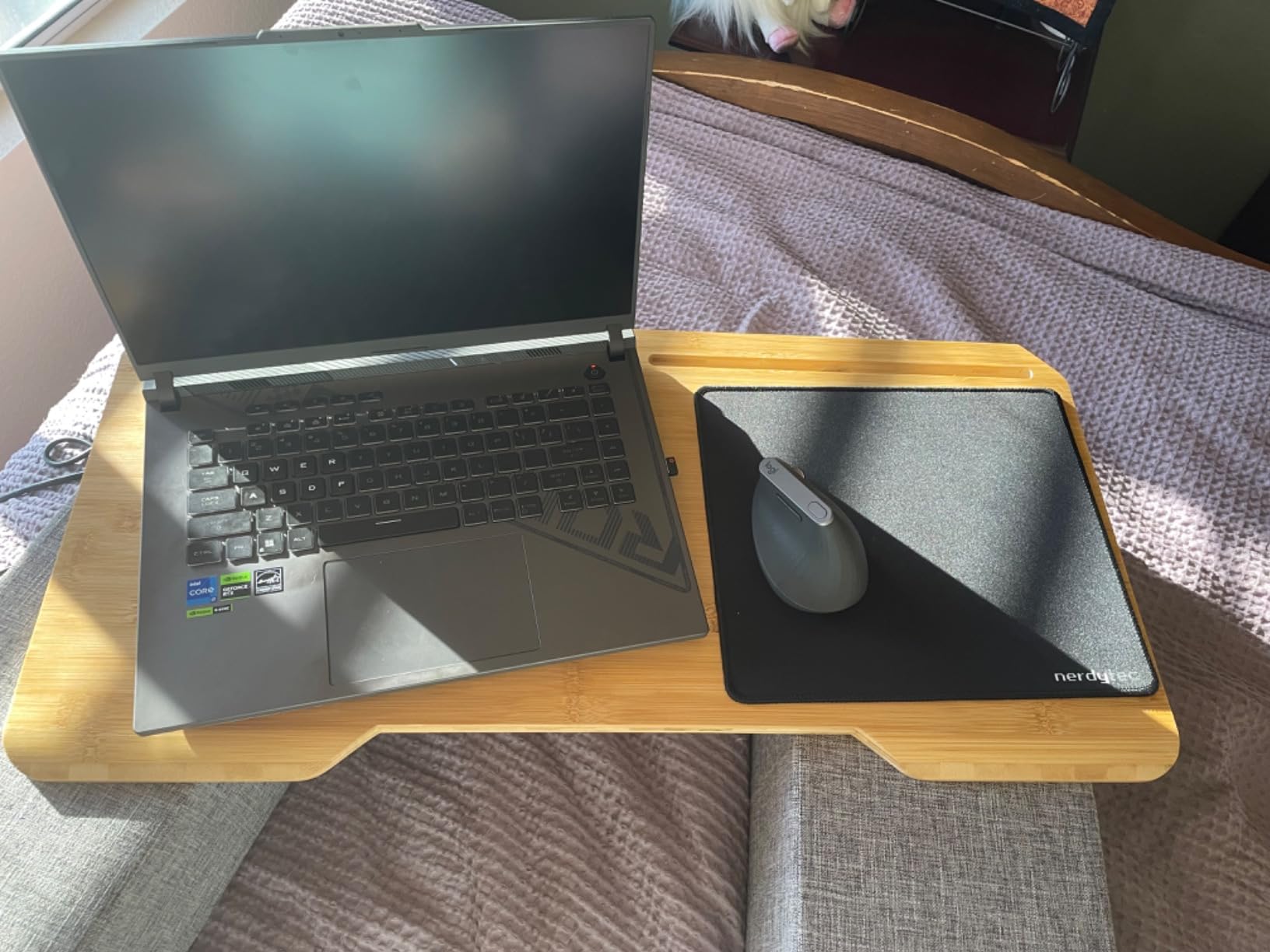 Couchmaster CYWORX, Ergonomic Lap Desk for Notebooks or Wireless Equipment, Lapdesk for Home Office, Perfect for Couch and Bed, Including Pillows and Mousepad customer photo 1