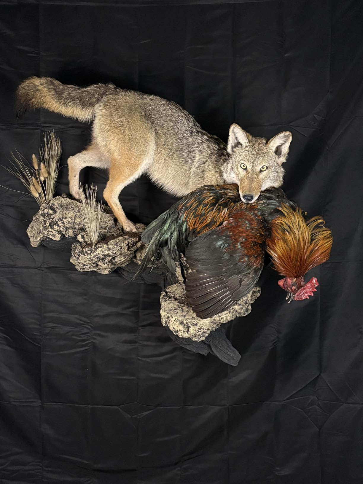 10 X 7 FT Green Screen Backdrop for Photography, Virtual GreenScreen customer photo 1