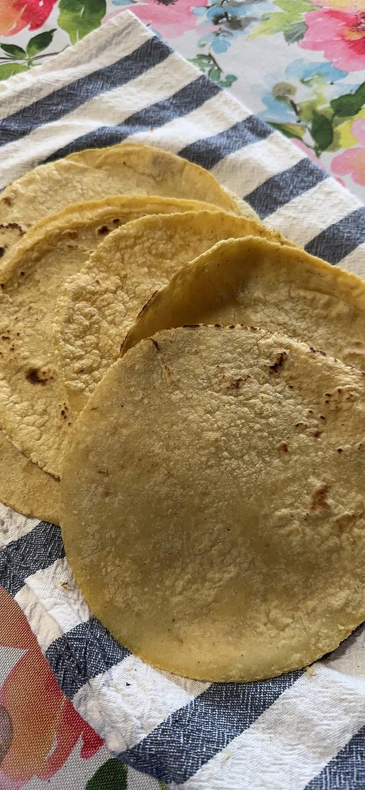 Electric Tortilla Press Maker Chapati Machine Flour Burrito Roti Press (8 IN) customer photo 2