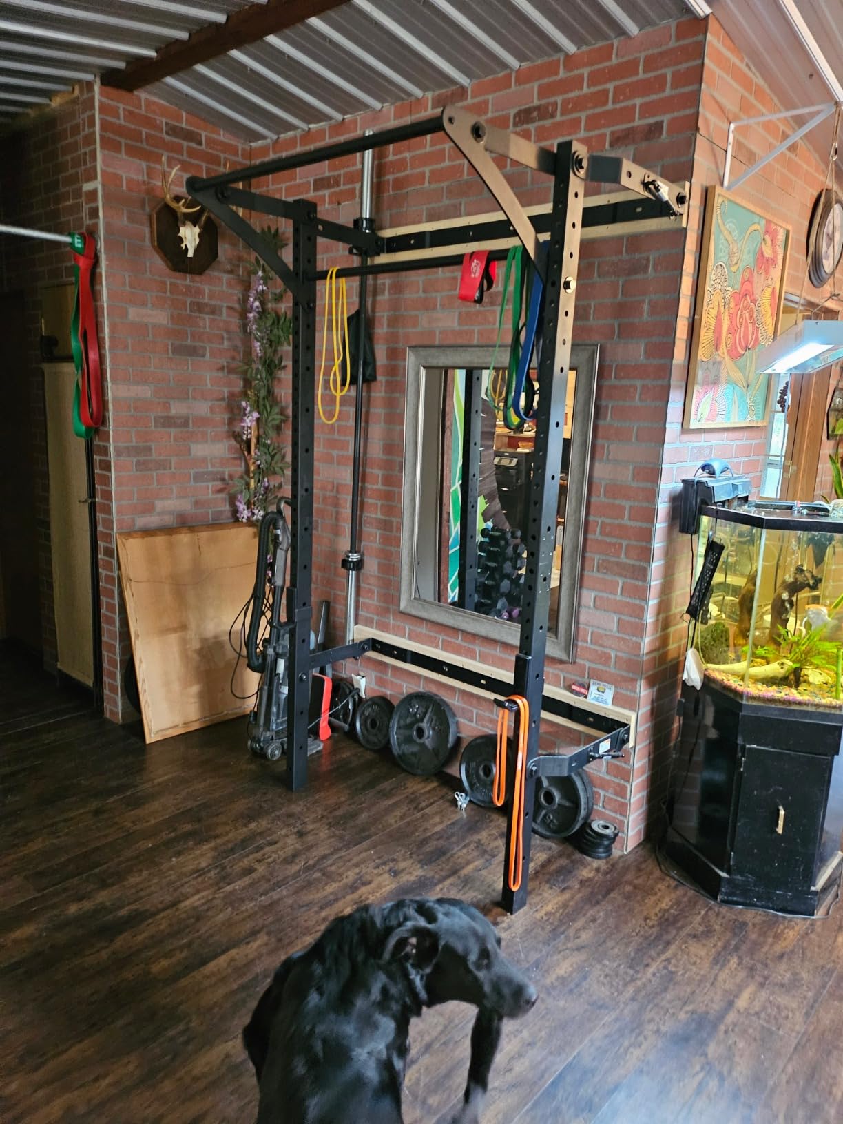 PRx Performance Murphy Foldable Squat Rack with Space-Saving Pull-Up Bar - Wall-Mounted Gym Equipment, Includes J-Cups for Barbell, Ideal for Strength Training, Bench Press and Leg Squats customer photo 2