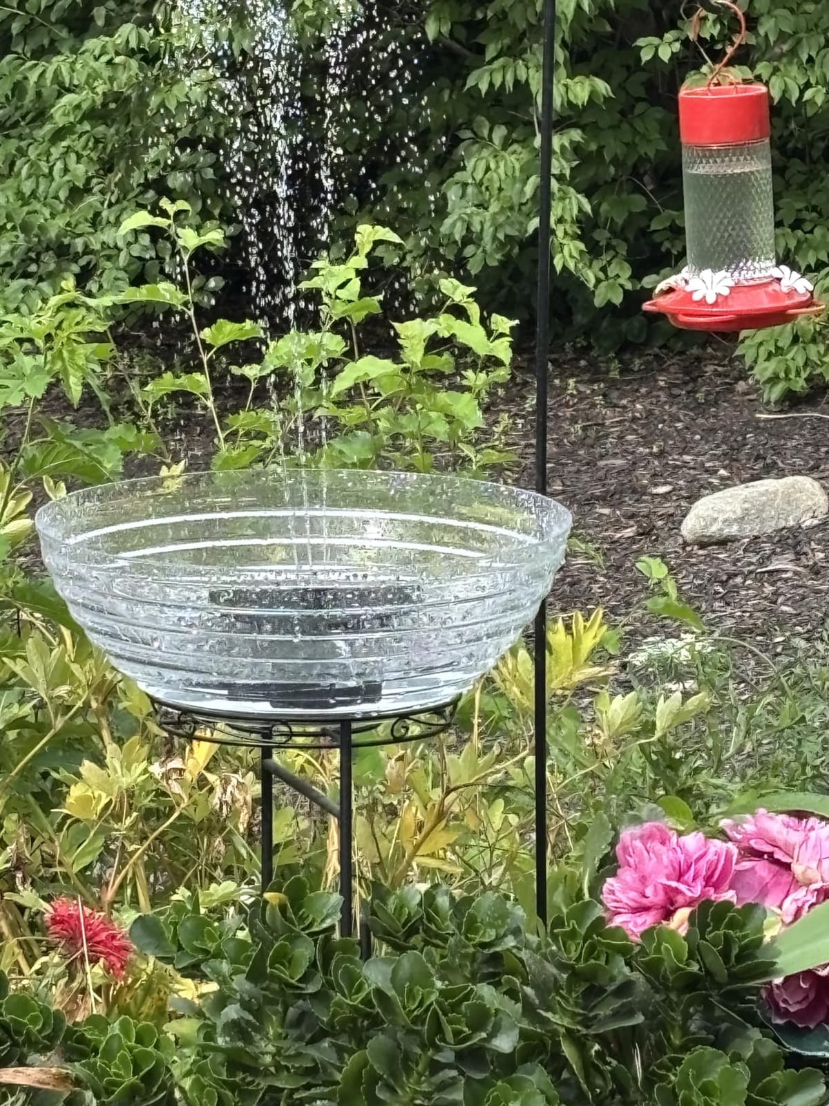 Mademax Upgraded Solar Fountain with 4 Easy Install Nozzle and Fixer, Solar Powered Fountain Pump for Bird Bath, Garden, Pond, Pool, Fish Tank, Outdoor customer photo 1